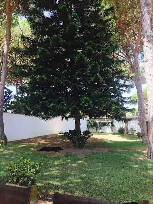 Villa Verde Con Piscina A 800M De La Playa By Chiclana Dreams Chiclana de la Frontera Holiday home